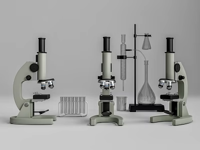 Laboratory Essential Research Setup With Microscopes Test Tubes Beakers And Flasks 3d model