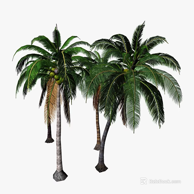 Lush Tropical Palm Trees With Green Fronds And Coconuts In Natural Scene 3d model 