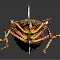 Colorful Spotted Insect With Red Yellow Patterns And Metal Pins Through Body