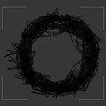 Natural Bird Nest Composed of Dry Twigs and Branches with Intricate Structure
