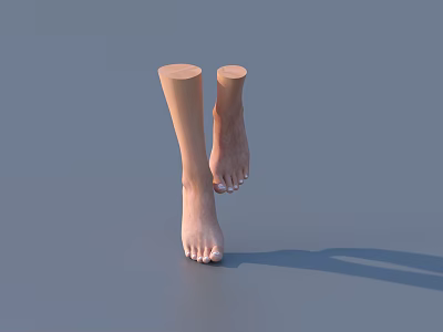 Woman's Bare Feet With Wooden Prosthetic Leg Standing On Gray Background Showing Natural Toes And Shadow 3d model