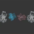 Four Colorful Plants in Blue Light Blue Pink Dark Blue with Dark Background and Reflections