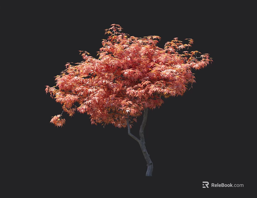 Elegant Arbor With Vibrant Red Leaves And Graceful Canopy In Garden Landscape 3d model 