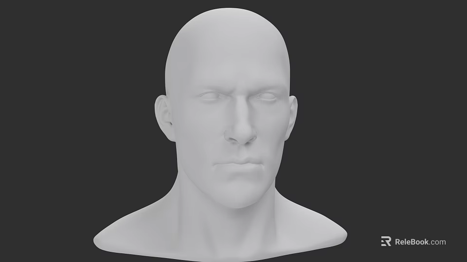 Detailed 3D Head Model Showcasing Facial Organs Eyes Nose Mouth Ears 3d model 
