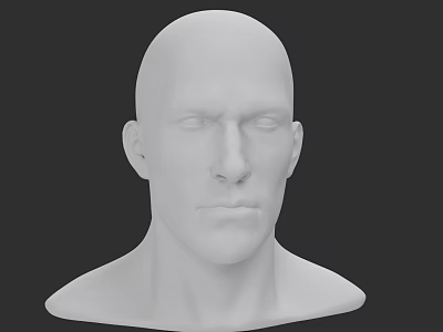 Detailed 3D Head Model Showcasing Facial Organs Eyes Nose Mouth Ears 3d model