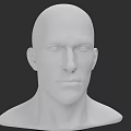 Detailed 3D Head Model Showcasing Facial Organs Eyes Nose Mouth Ears