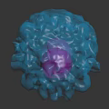 Anatomical Organ And Hair Structure In Blue Purple Spherical Form With Textured Surface