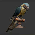 Modern Parrot Xuan Feng Parrot Budgie Shang Parrot 3d model