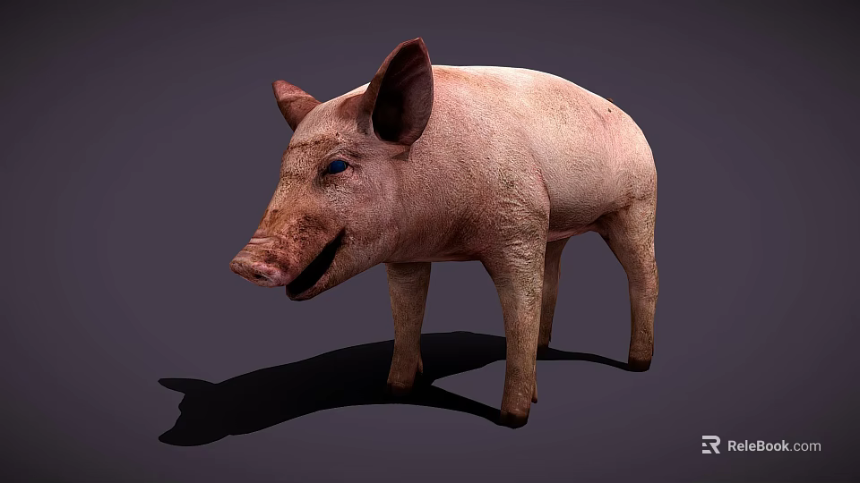 Realistic Standing Pink Pig With Ears Snout And Dark Background Shadow 3d model 
