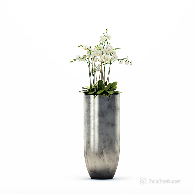 Silver Metallic Cylindrical Vase With White Orchid Flowers And Green Leaves 3d model 