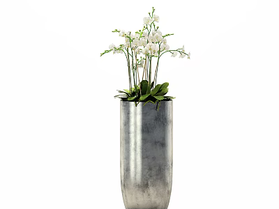 Silver Metallic Cylindrical Vase With White Orchid Flowers And Green Leaves 3d model