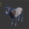 Realistic brown and white goat with horns standing on gray background