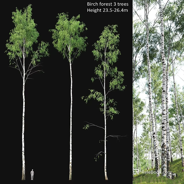 Decorative Ornament Set With Lifelike Birch Tree Decorations For Indoor Outdoor Natural Decor 3d model 