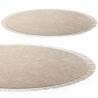 Modern Round Carpet 3d model