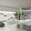 Modern Shopping Mall Store Interior With Display Shelves Green Plants And Bright Lighting