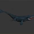 Realistic Detailed Blue Whale Model Featuring Open Mouth With Sharp Teeth