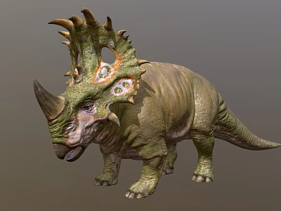 Realistic Triceratops Reptile 3D Model with Horned Frill Scaly Skin and Standing Pose 3d model