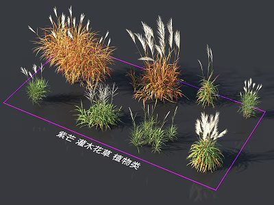 Various Decorative Flowers And Grasses Including Paper Awns Shrubs And Yellow Foxtail 3d model