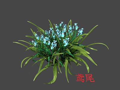 Vibrant Blue Iris Flowers With Lush Green Leaves And Fresh Blooms 3d model