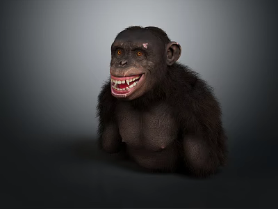 Highly Detailed Realistic 3D Chimpanzee Model With Smiling Face And Textured Fur 3d model