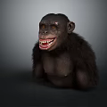 Highly Detailed Realistic 3D Chimpanzee Model With Smiling Face And Textured Fur
