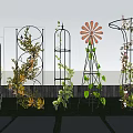 Beautiful Yard Garden Featuring Various Decorative Metal Trellises With Climbing Vines