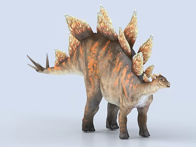 Stegosaurus Dinosaur Model With Orange Brown Back Plates And Spiked Tail 3d model
