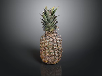 Fresh Ripe Pineapple With Green Leafy Top On Dark Reflective Surface 3d model