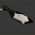 Detailed Duck with Spreading Wings Dark and White Feathers Yellow Eyes White Beak and Legs