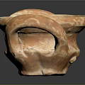 Textured Orange Bowl Shaped Sculpture Carving With Curved Edges And Dark Background