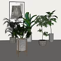 Indoor Potted Plants with Tropical Greenery Small Trees and Modern Gray Pots on Wooden Stand