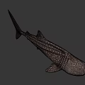 Whale Shark Swimming In Blue Ocean Water With White Spots On Body