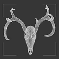 Detailed White Deer Skull With Large Antlers On Gray Background