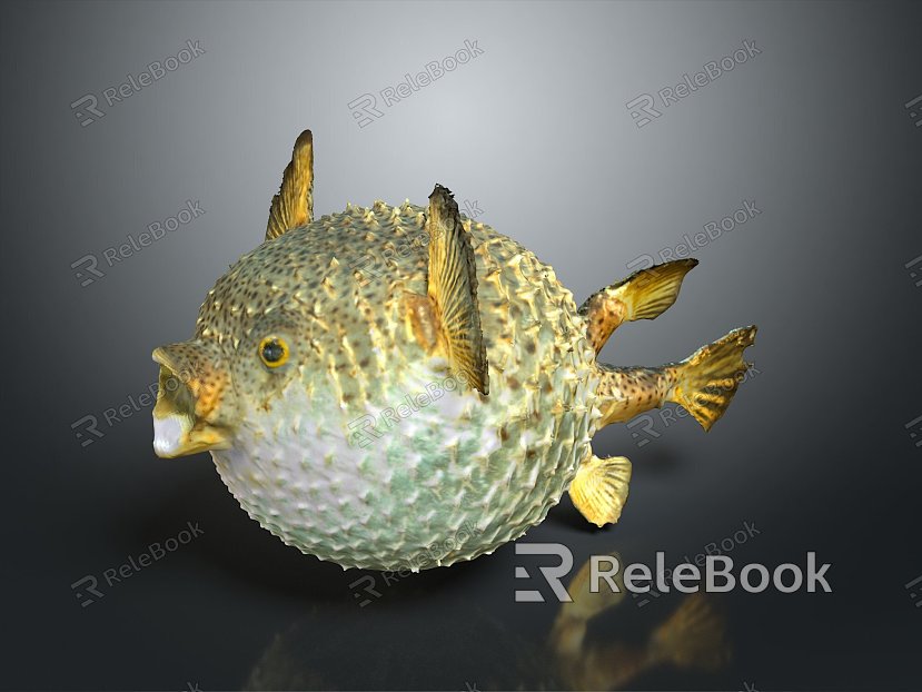 Puffer Dolphin Cartoon Puffer Dolphin Cartoon Puffer Sashimi Puffer Fish Freshwater Fish Puffer Fish model