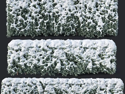 Trimmed Lush Evergreen Hedges Covered in Snow Against Dark Winter Background 3d model
