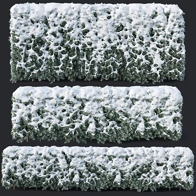 Trimmed Lush Evergreen Hedges Covered in Snow Against Dark Winter Background 3d model Trimmed Lush Evergreen Hedges Covered in Snow Against Dark Winter Background 3d model