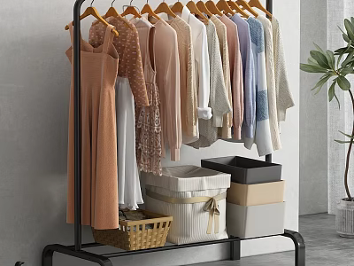 Hanging Clothes on Black Rack with Various Styles Storage Boxes Woven Basket and Potted Plant 3d model