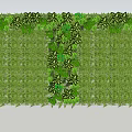 Lush Living Plant Wall With Varied Green Foliage And Clear Blue Sky