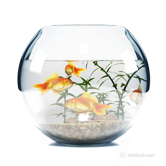 Clear Spherical Glass Fish Tank Featuring Goldfish Aquatic Plants and Gravel Base 3d model 
