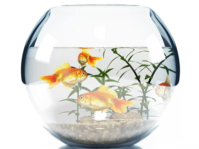 Clear Spherical Glass Fish Tank Featuring Goldfish Aquatic Plants and Gravel Base 3d model
