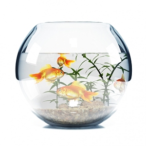 Fish tank 3d model