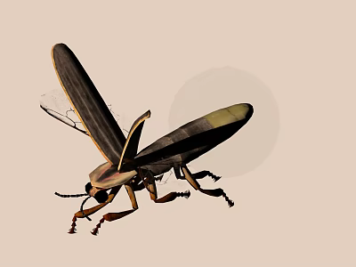 Flying Insect With Brown And Yellow Body Long Wings And Antennae 3d model
