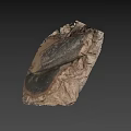 Natural Ancient Fossil Leaf Preserved in Stone with Detailed Vein Structure