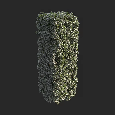 Lush Green Vines Covering Vertical Structure With Dense Foliage And Leaves 3d model