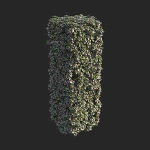 square pillar hedge shrub 3d model