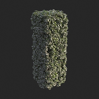 square pillar hedge shrub 3d model