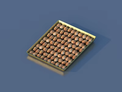Small Brown Round Food Items In Square Metal Tray On Blue Surface 3d model