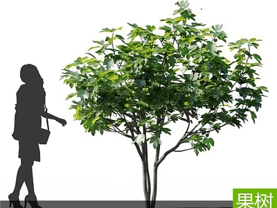 Lush Fruit Tree With Vibrant Green Leaves In Outdoor Garden Space 3d model