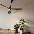 Modern Ceiling Fan Light Fixture With Wooden Floor And Green Plants