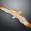 Flying Eagle With Orange And White Feathers Spread Wings In Flight 3d model